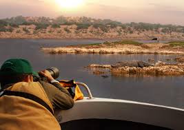 Serene Escape Found With Chambal River Safari Experience